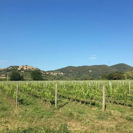 San Martino